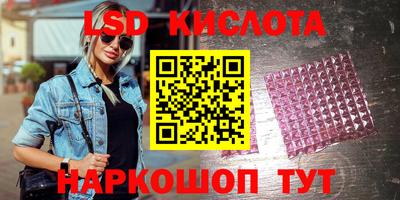 прущие грибы Канаш