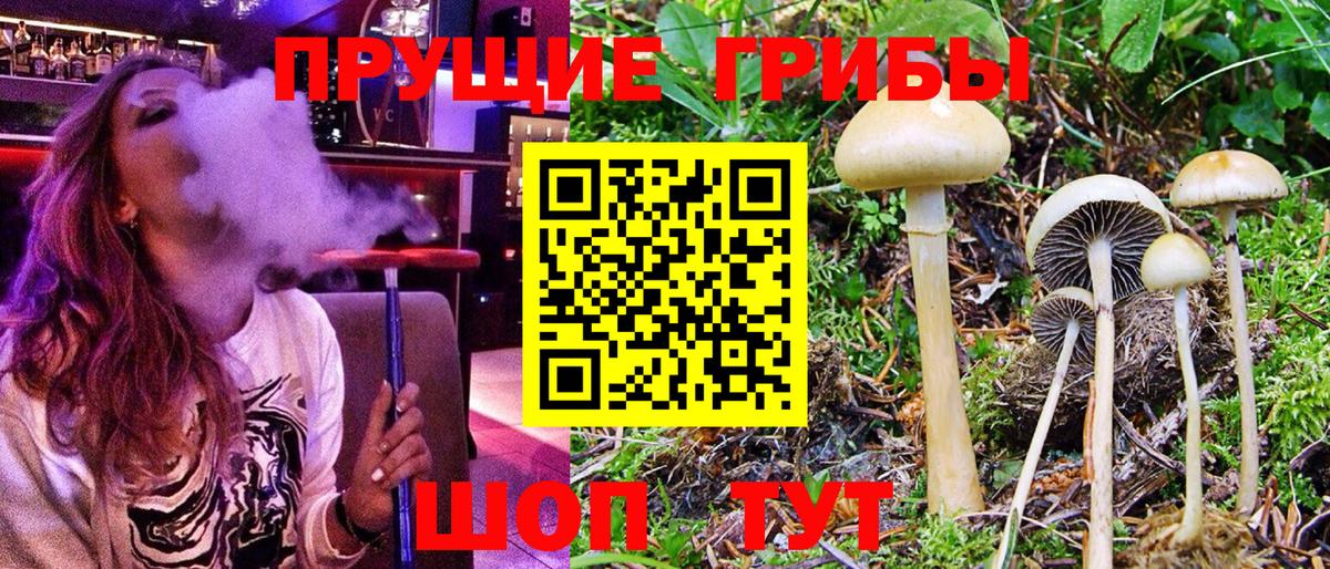 закладка  Галлюциногенные грибы Magic Shrooms  Вход с VPN  Волоколамск 
