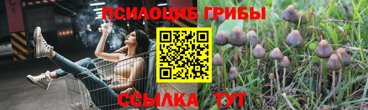 Псилоцибиновые грибы мухоморы Волоколамск